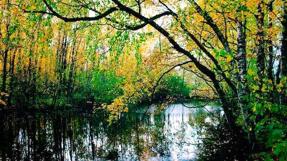 Стихотворение