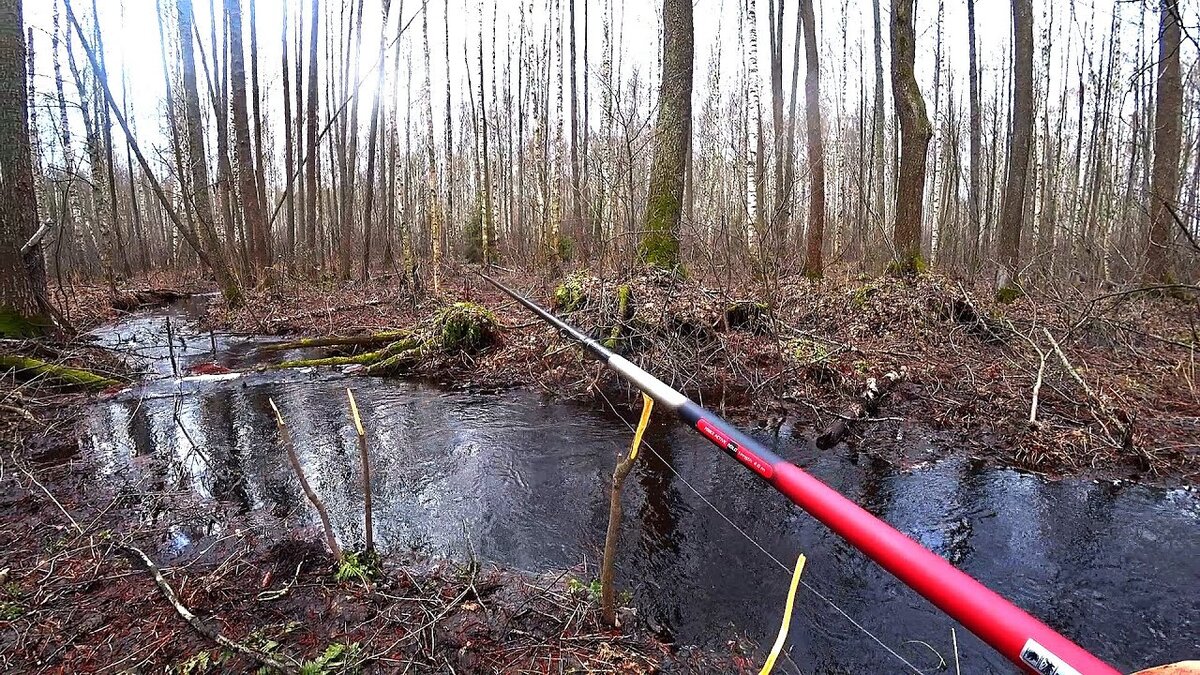 Платная рыбалка михайловская слобода раменский район. Стрелецкий ручей рыбалка михайловская слобода. Михайловский ручей рыбалка. Стрелецкий ручей михайловская слобода. Стрелецкий ручей михайловская слобода.
