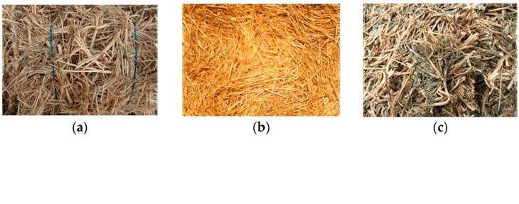    Пожнивные остатки сои и пшеницы могут защитить жителей дома от повышенного электромагнитного излучения