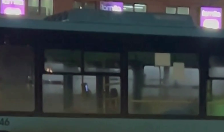 Автобус работа спб. Купчино сосновый бор. Требуется водитель. Автобусы нефаз 2020. Городской пассажирский транспорт.