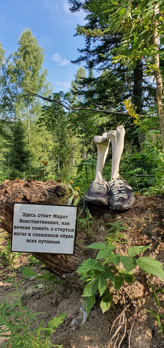 Во такие ножки сфотографировала в одном из походов.