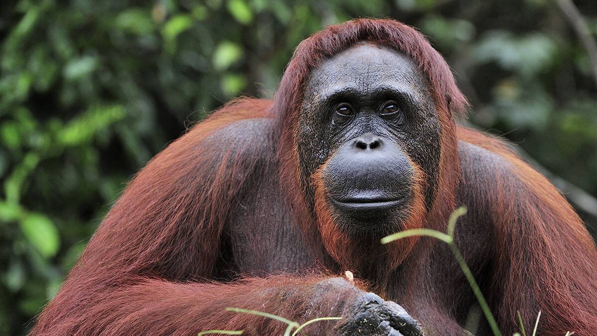    Фото: Shutterstock