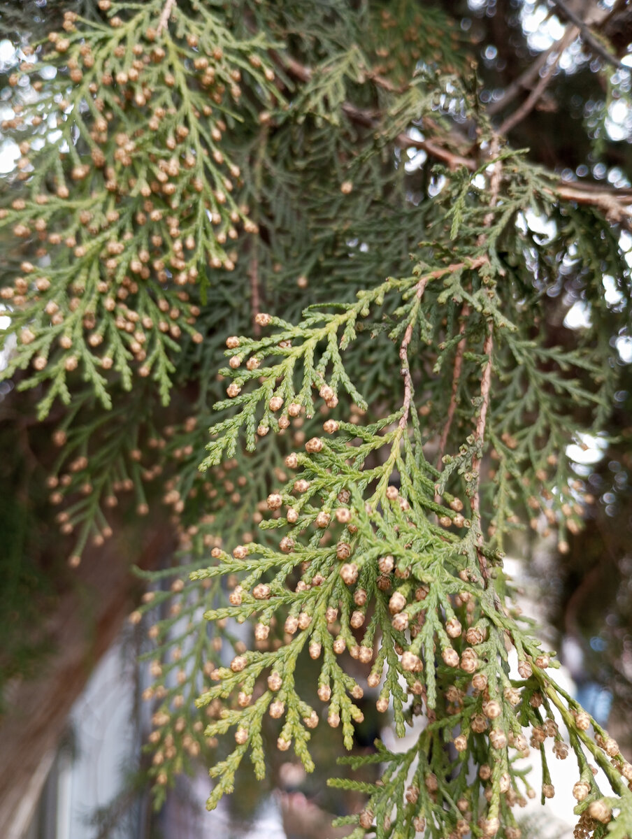 Люблю такую красоту в самом простом. Что нас окружает. 