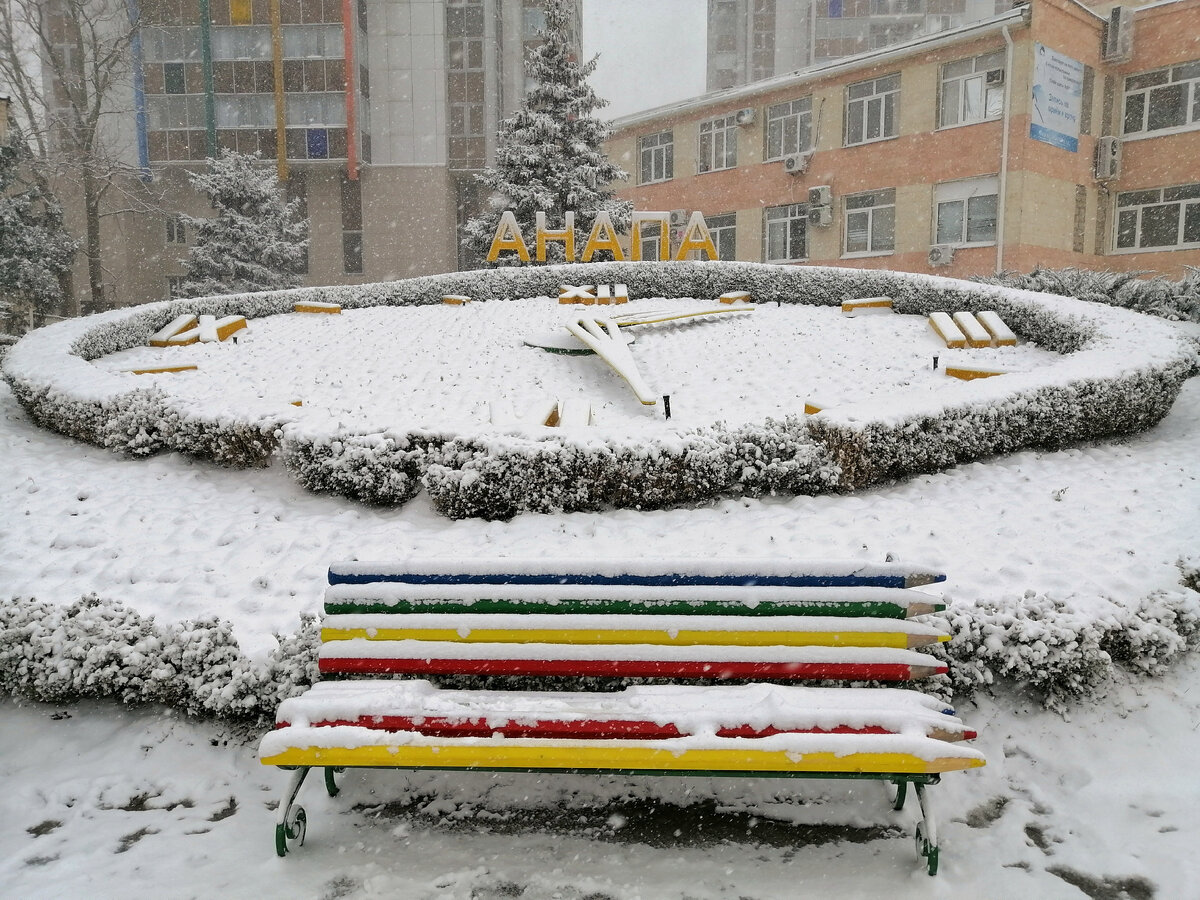Цветочные часы под снегом.