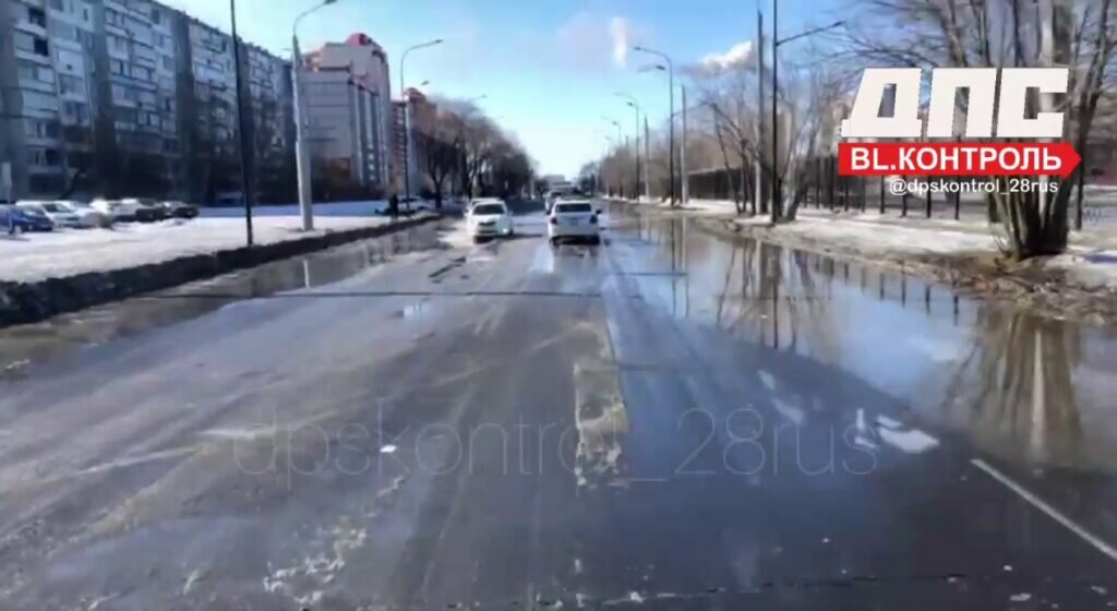    Фото: dpscontrol_28rus