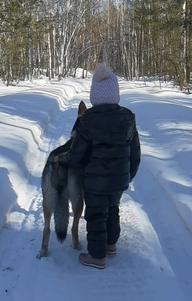 Стой неразумное дитя, жди взрослых 