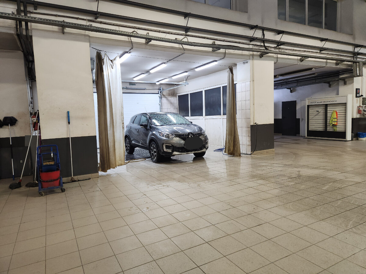 Бегемот на ТО