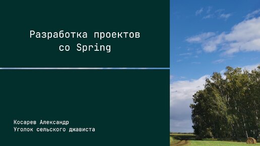 О цикле роликов - Разработка проектов со Spring