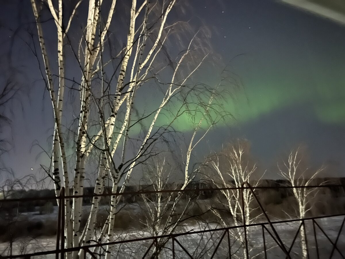 Впервые в жизни увидела вчера Северное сияние (прямо из окна квартиры). Но  если бы не телефон, я бы его даже не заметила! | Северяночка | Дзен