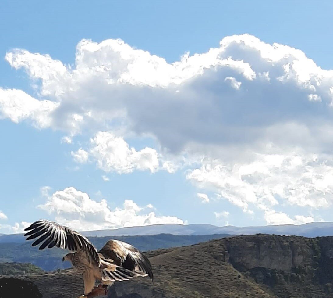 Фото Елены Погореловой