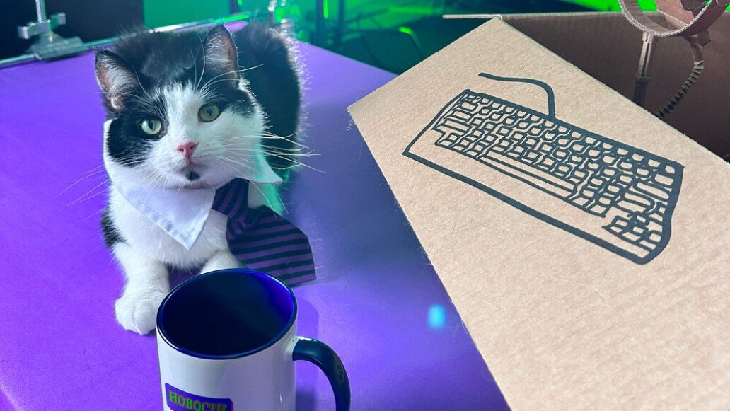 Листайте вправо, чтобы увидеть больше изображений