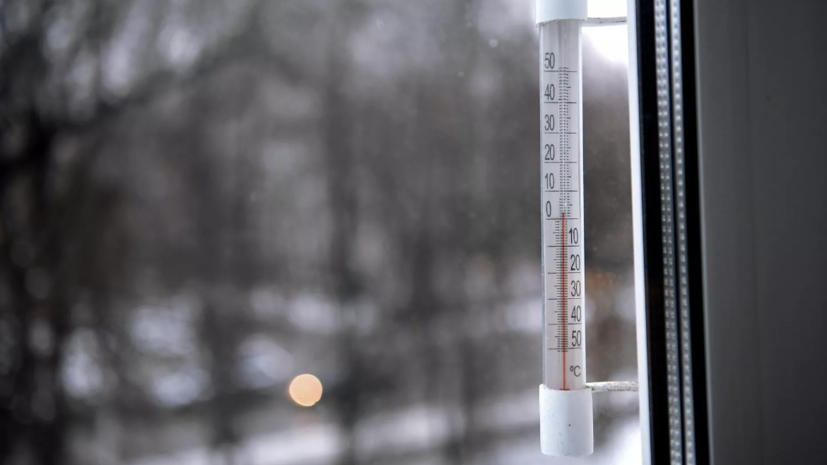    РИА Новости / Екатерина Чеснокова