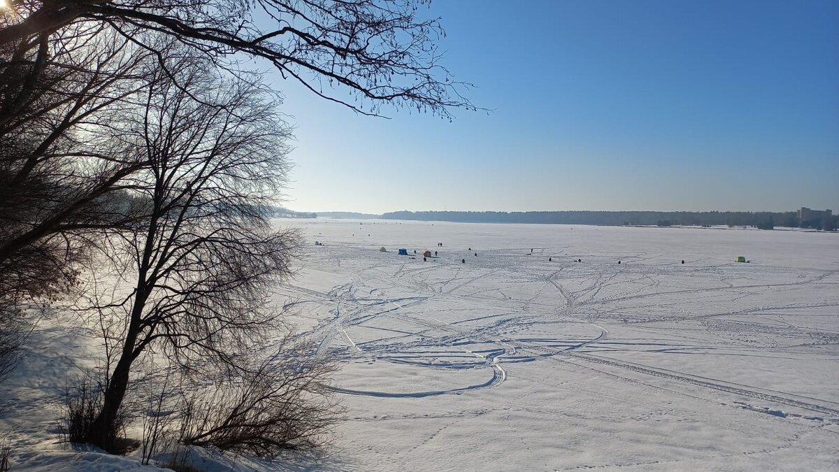 Отчёт о рыбалке от 03.03.24. Рузское водохранилище, ловля на жерлицы,  рыбалка в палатке. День судака | Курганский Иван | Дзен