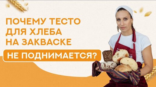 Почему тесто для хлеба на закваске не поднимается