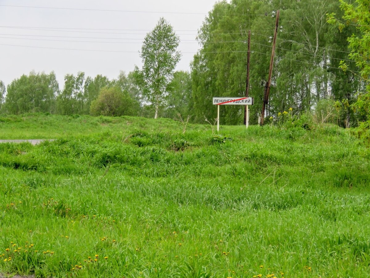 п.Ленинградский. Заброшенные корпуса животноводства.Водохранилище на реке  Берёзовка | Екатерина про Кемерово | Дзен