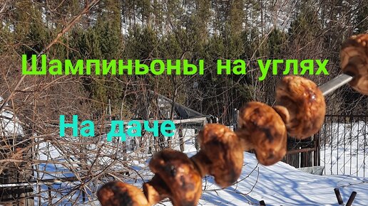 Грибы на мангале. Шашлык из Шампиньонов. Весной на Даче. Простой рецепт.