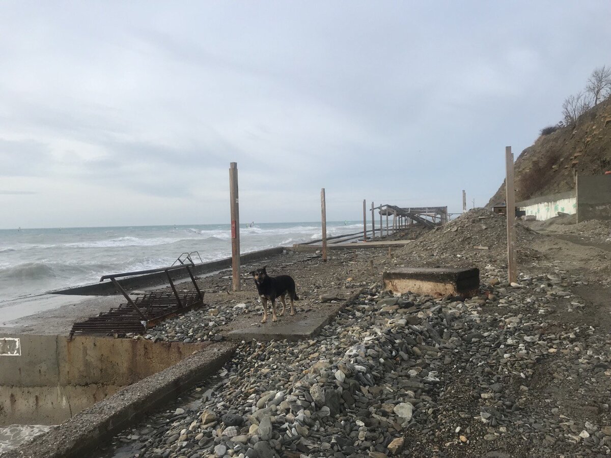 Берег после урагана.