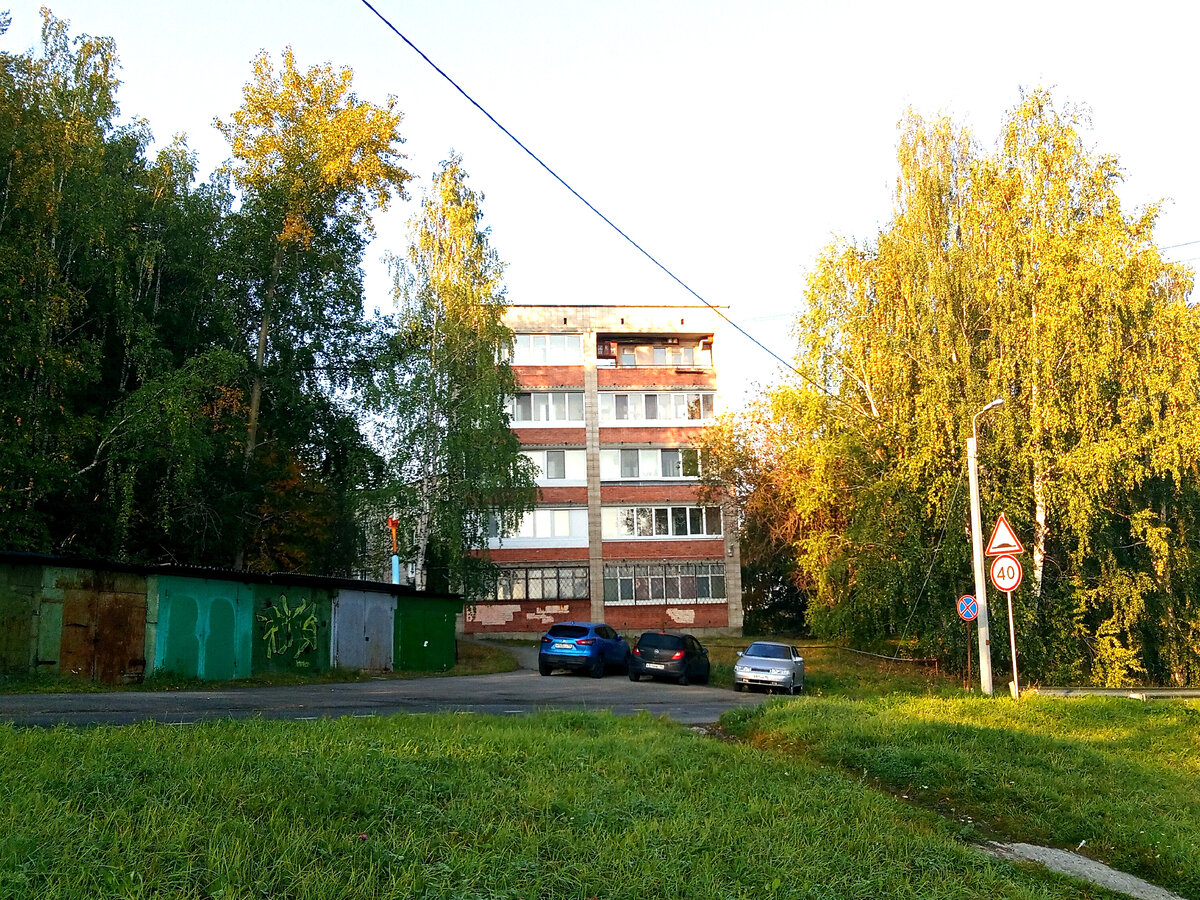 Рассказ «Проклятая золовка». СЕРПАНТИН ЖИЗНИ