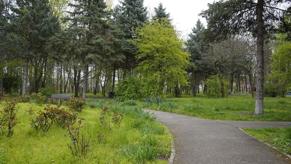    С 15 по 17 марта пройдет голосование за объекты для благоустройства в Краснодаре. Фото: архив телеканала «Краснодар»