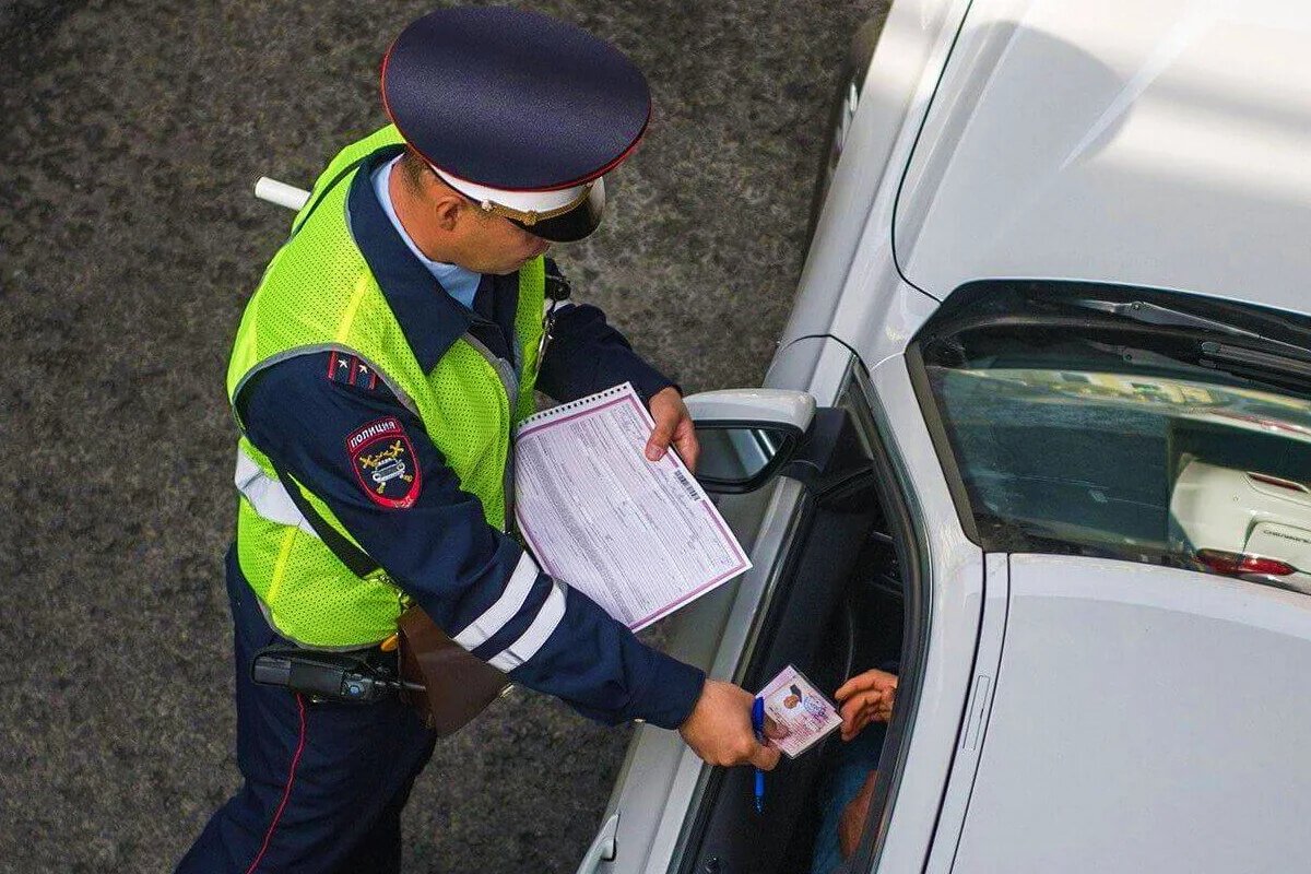 Как проверить лицензию автошколы. Как проверить автошколу. Ру. Автокурсы мотивация. Как проверить автошколу.