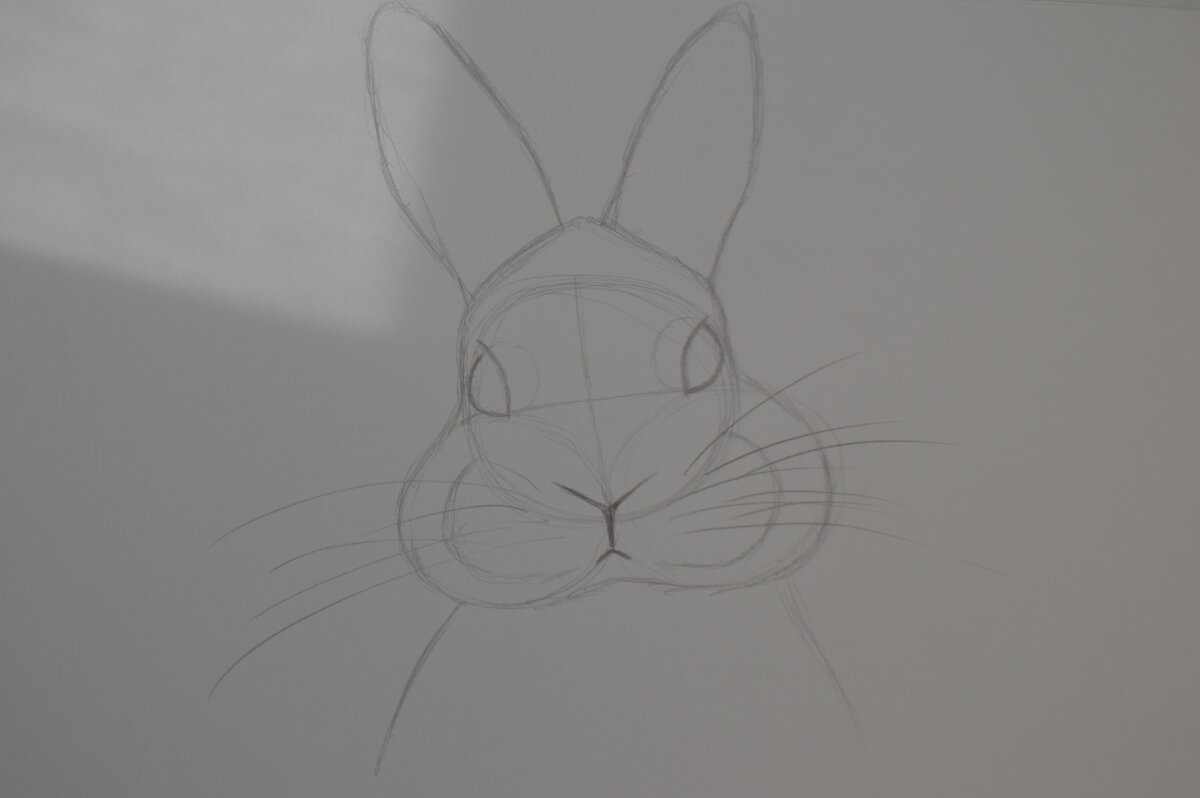 Глаза-это два шара, разделенные изогнутой линией. Так же добавляем два шара в районе щек и дорисовываем усы.