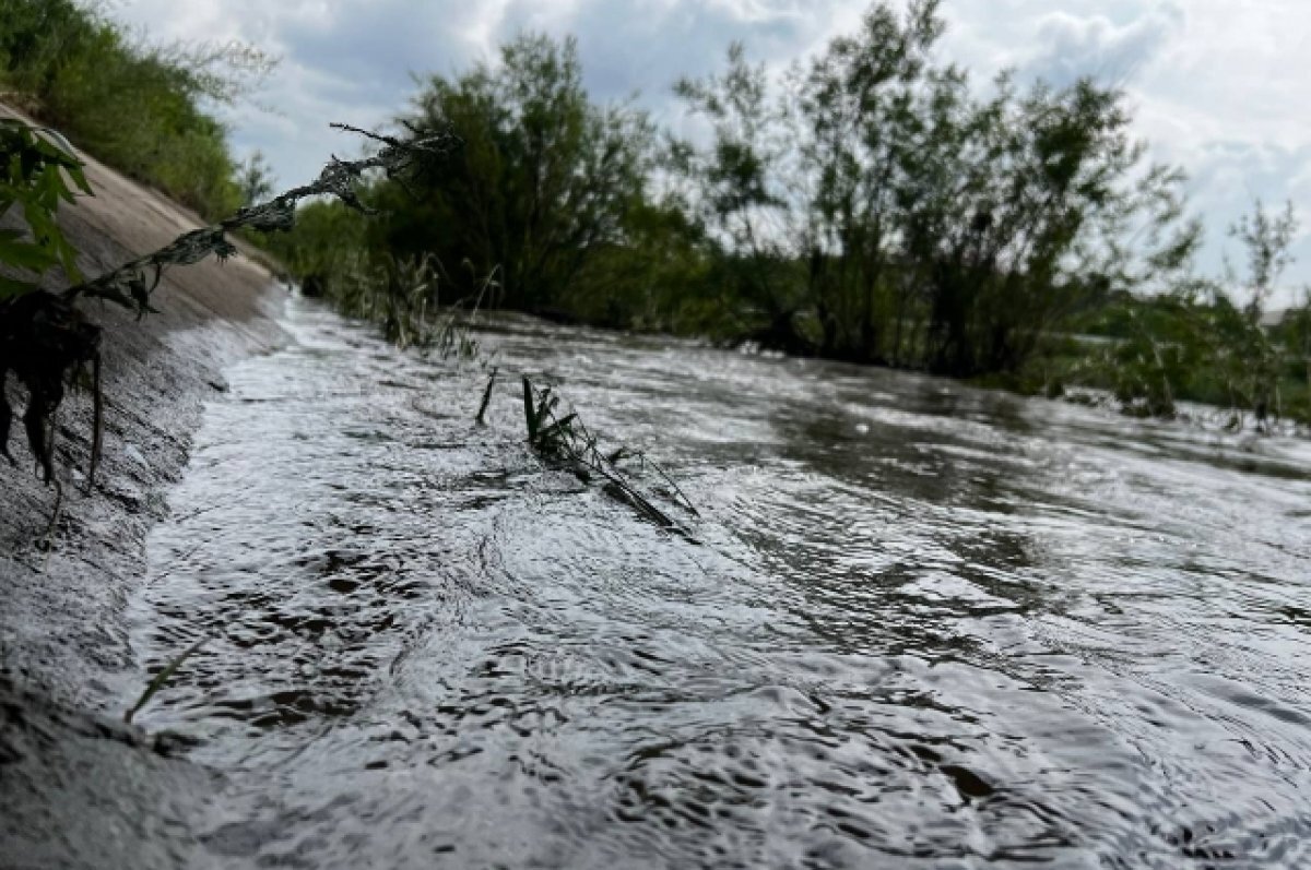    Суда на воздушных подушках хотят купить в Нижегородской области