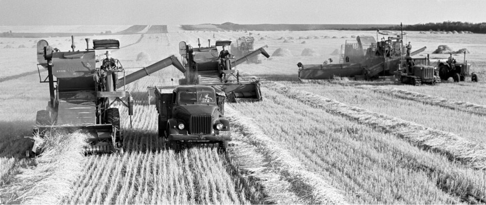 Краснодарский край. Июль 1963 г. Работа комбайнов-подборщиков на поле колхоза им. В.И. Ленина.Фото: © Евгений Шулепов / ТАСС