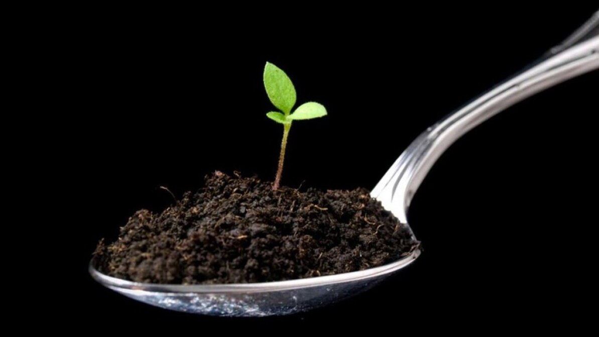 Плодородный слой со временем истощается и его необходимо восполнять