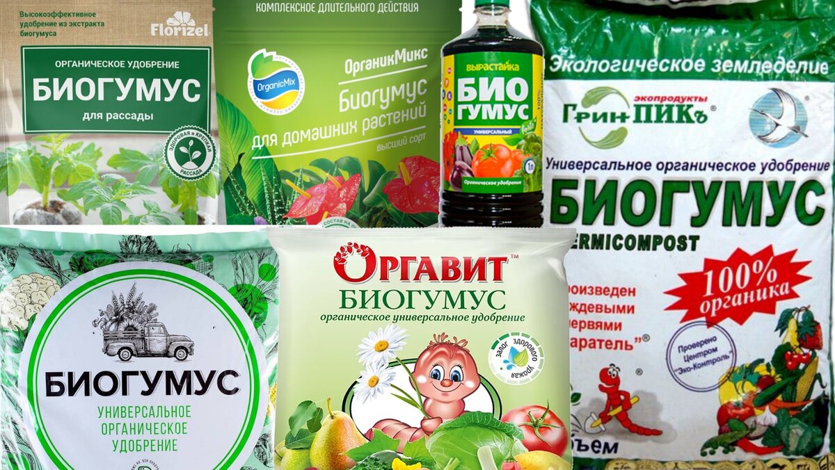 На рынке много биогумуса, но далеко не весь хорошего качества