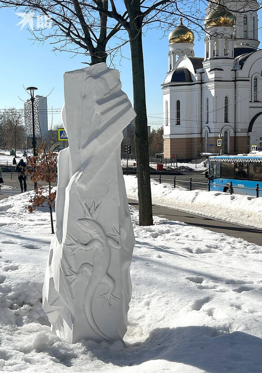   Светлана ВОЛКОВА