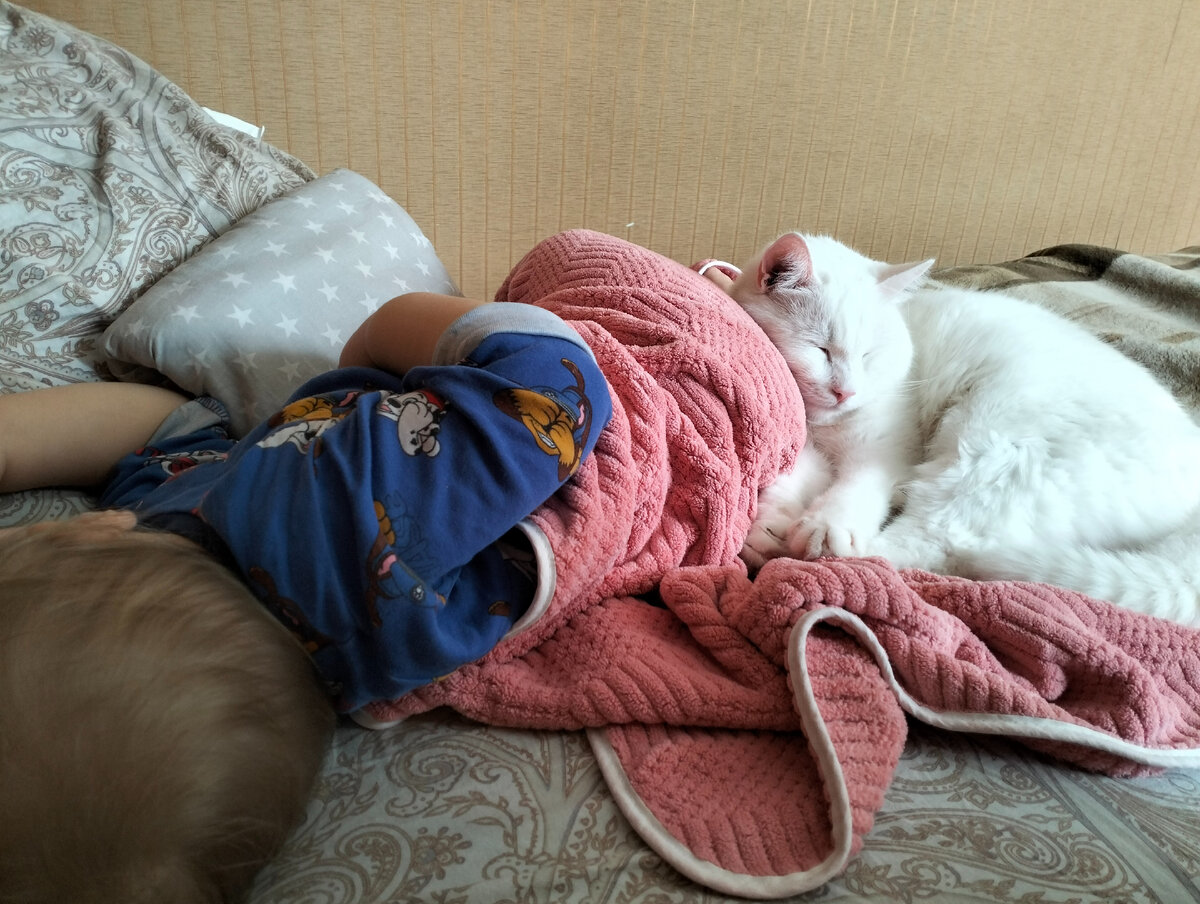 А такой же лапочкой кажется...