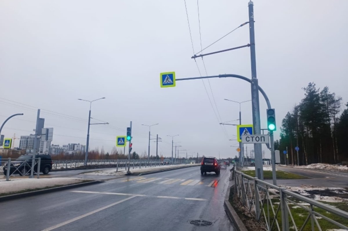    В Петрозаводске водители подрались дороге