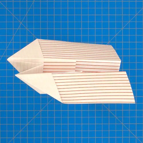    Fold'N'Fly
