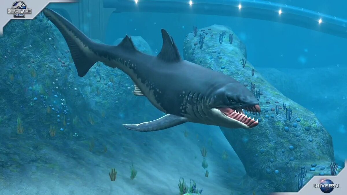 Если бы не эти челюсти, возможно, никто и не догадался бы, что это акула