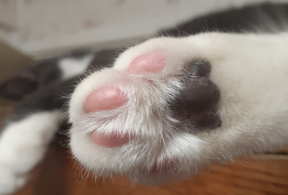 Мне так нравится эта фотография, что решила поделиться с вами)) 