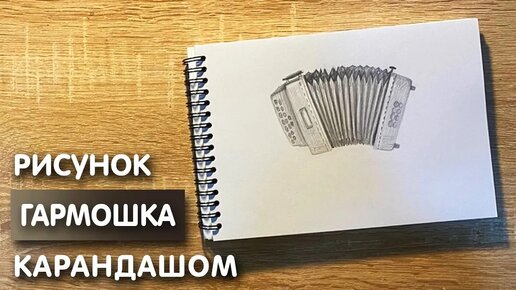 Как нарисовать гармошку карандашом | Рисунок для начинающих поэтапно