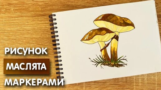 Как нарисовать маслята карандашом и скетч маркерами | Рисунок для детей, поэтапно и легко