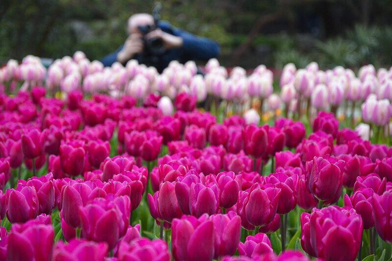Фото: Гала Амарандо