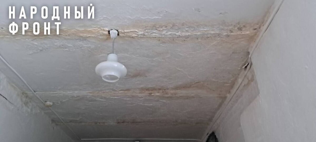    Фото: Народный фронт