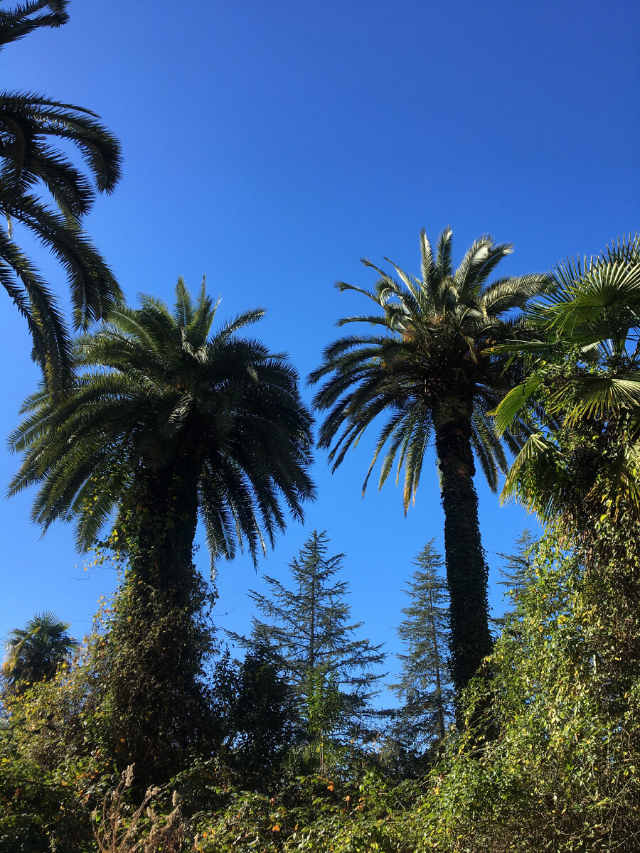 Страна Души , февраль 2024