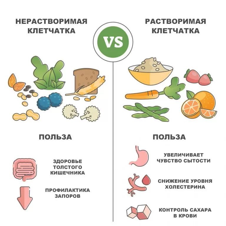 ЧТО ТАКОЕ ПРОДУКТЫ С  КЛЕТЧАТКОЙ.