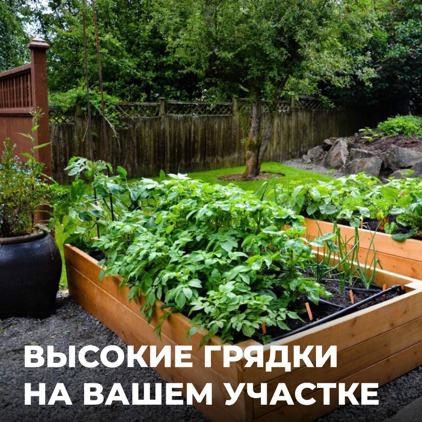 Высокие грядки являются неотъемлемой частью неприхотливого сада, ведь они значительно облегчают уход за участком 👇🏻