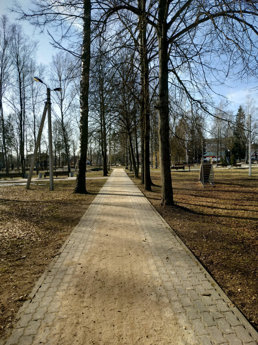 В парке Победы