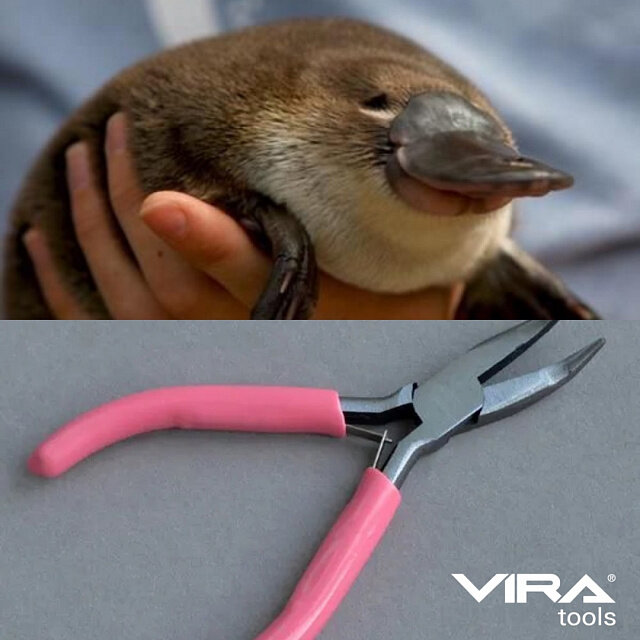 Утконос VS утконосы 