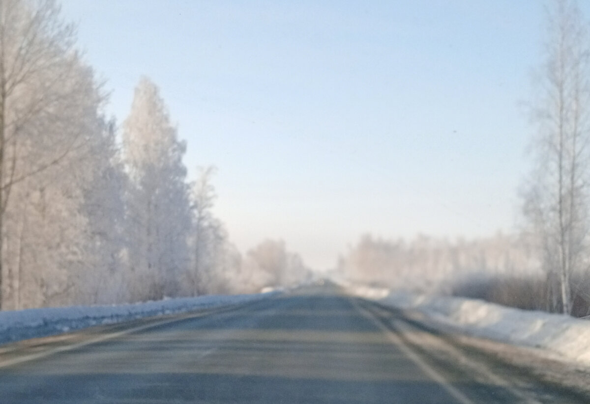 Фото автора.