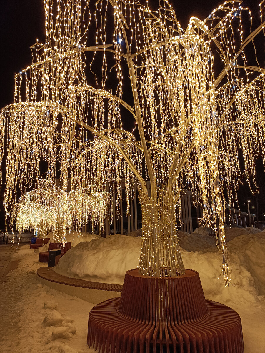 У нас всё ещё стоят светящиеся деревья