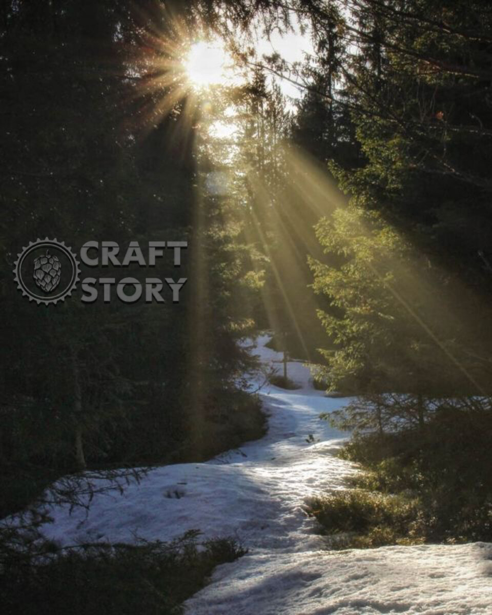 Craft Story - магазины крафтового и разливного пива в Тамбове