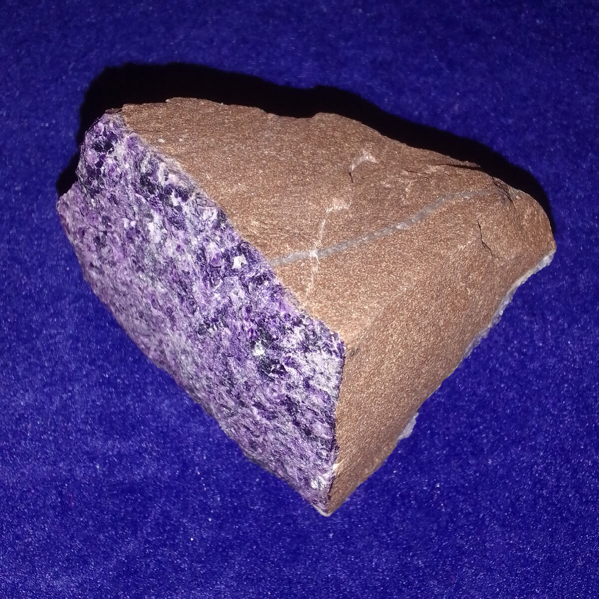 А с другой стороны он мне нравится. Фото автора