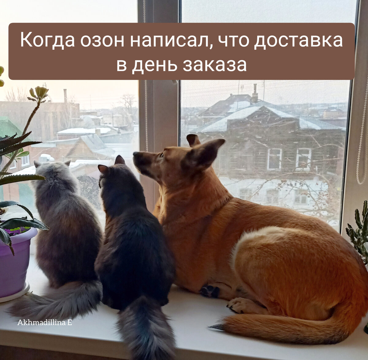 Да, да. Мы верим, ждём 😄