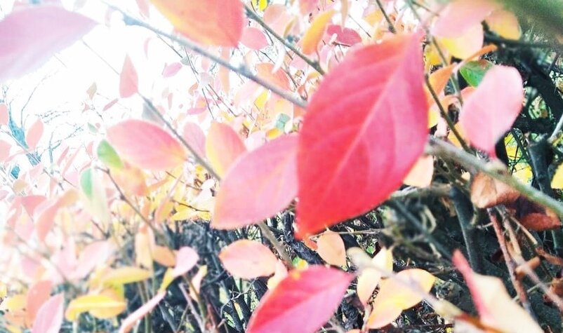 Прошли годы, и семейная жизнь оказалась не такой радостной, как мы ее представляли.